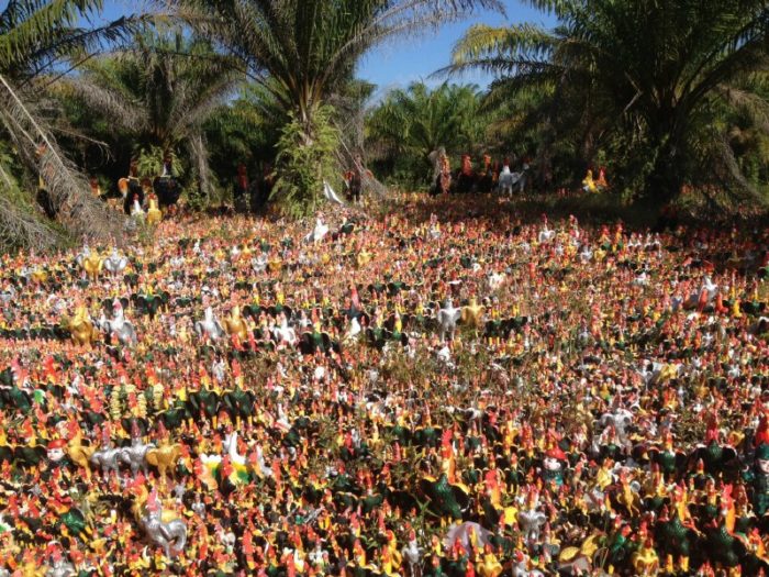 Masses of Rooster Offerings to Ai Khai at the Temple of Wat Chedi